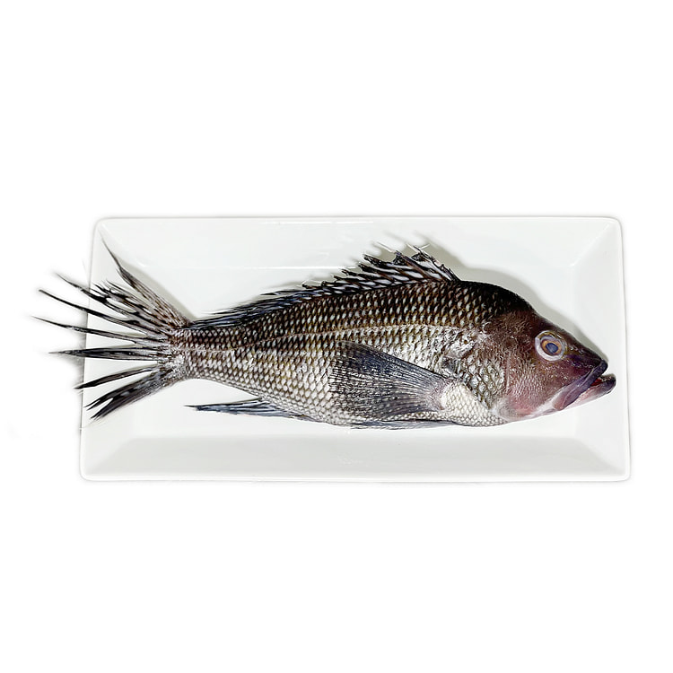 Wild Caught Black Sea Bass Gutted and Scaled 1-1.5 lb