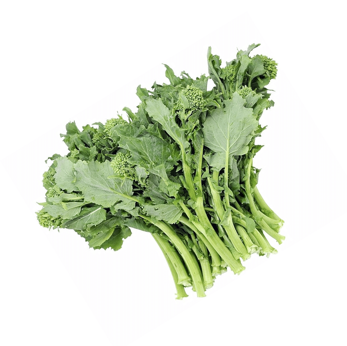 西洋菜心 1 把