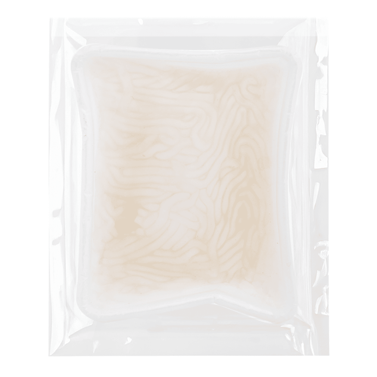 Tapioca Noodles, Frozen 16 oz