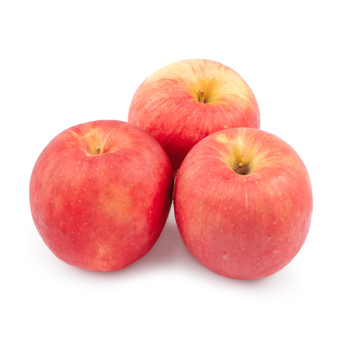 Gee whiz Premium Fuji Apple 4.5-5 파운드