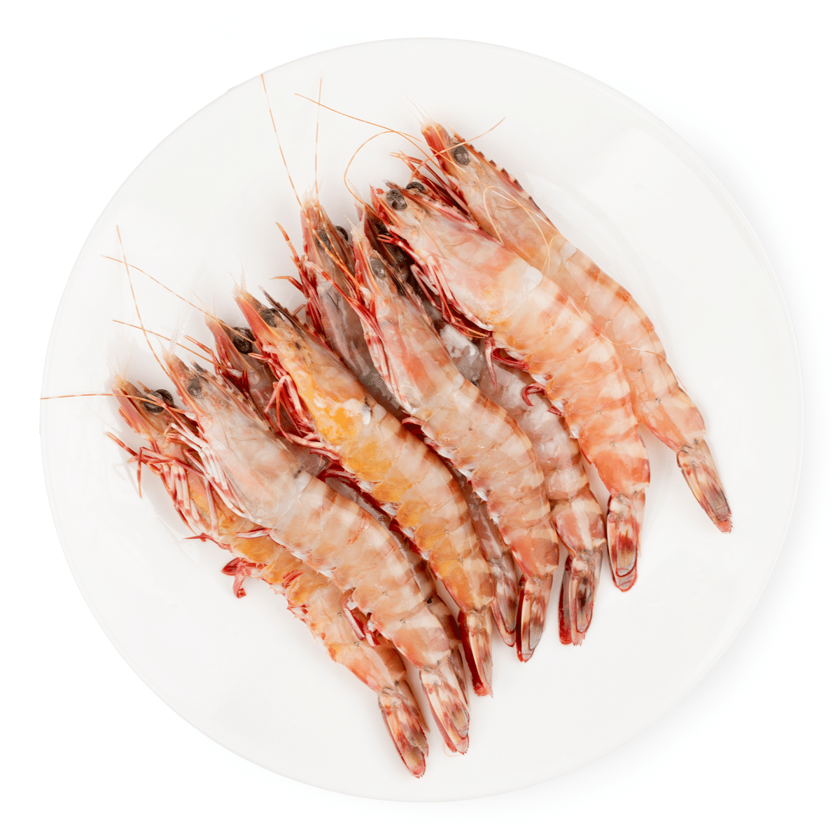 Ocean Pearl Australian Wild Caught Head On Shell On Tiger Shrimp 3.3 libra(s)