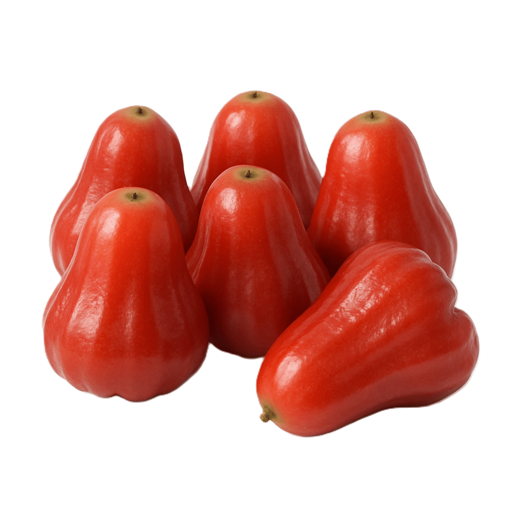 Wax Apple 0.9-1.1 lb