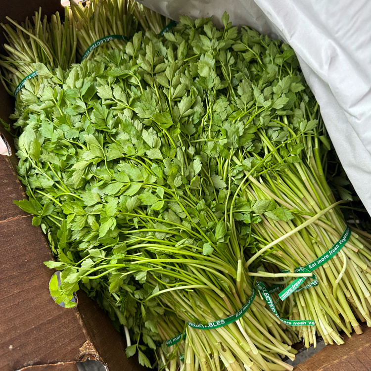 越南芹菜 1 磅