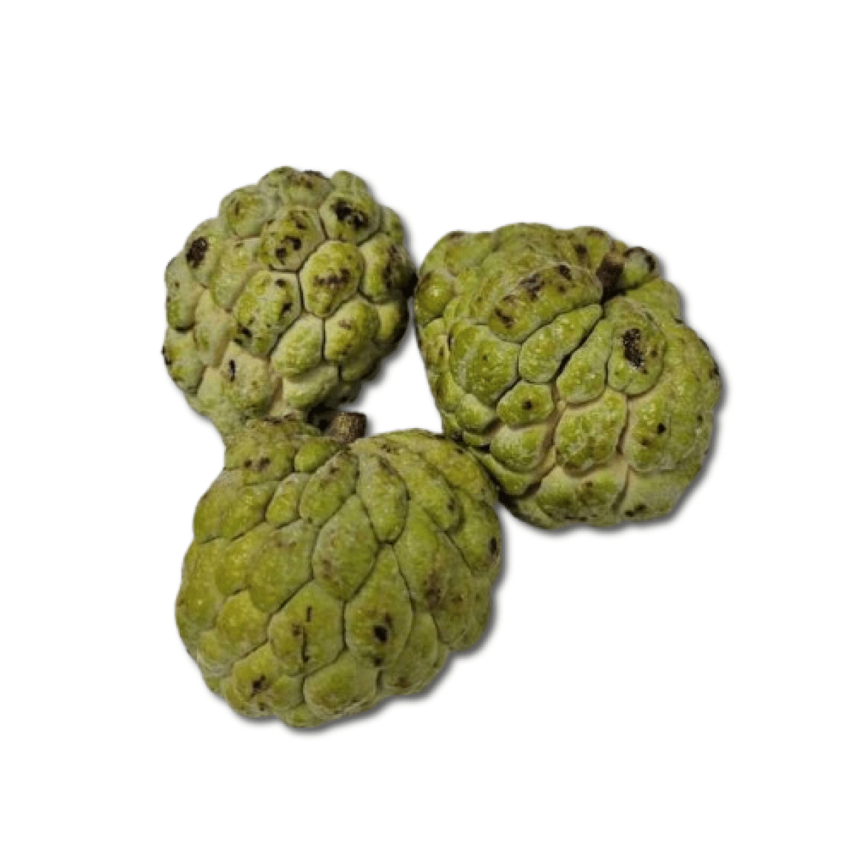 Sugar Apple/Custard Apple (Sitaphal) 1.8-2.2 lb