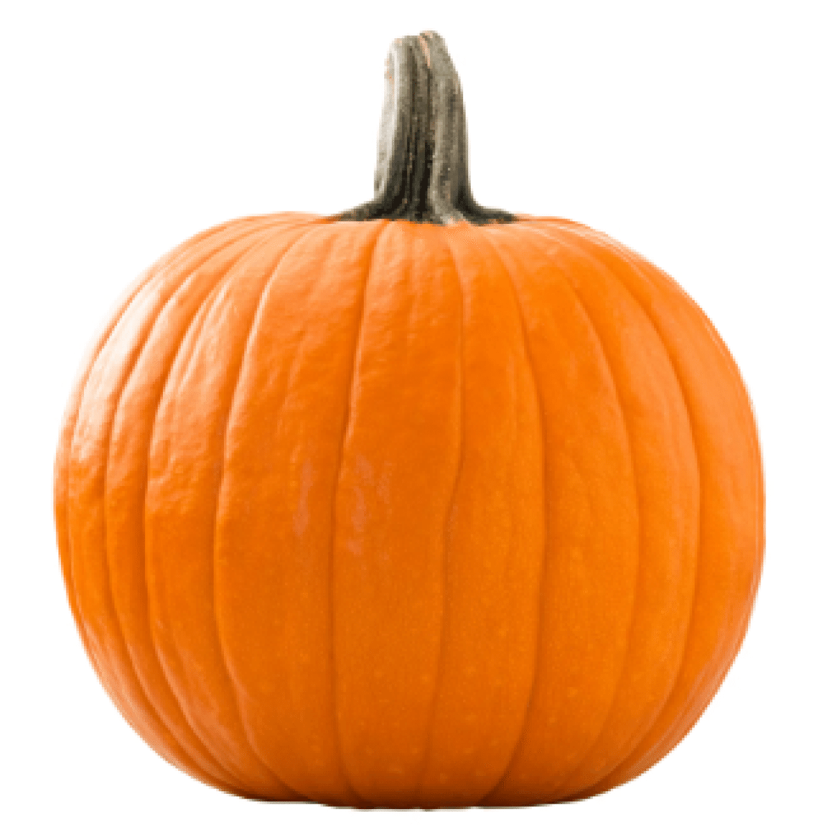 Halloween Pumpkin 1 count