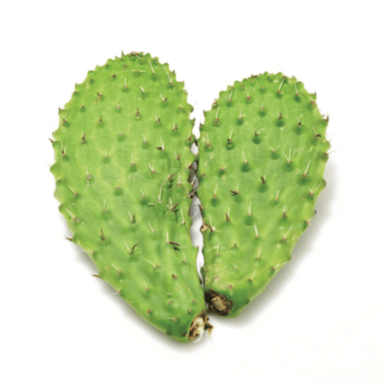 Nopales with Spikes 1 libra(s)