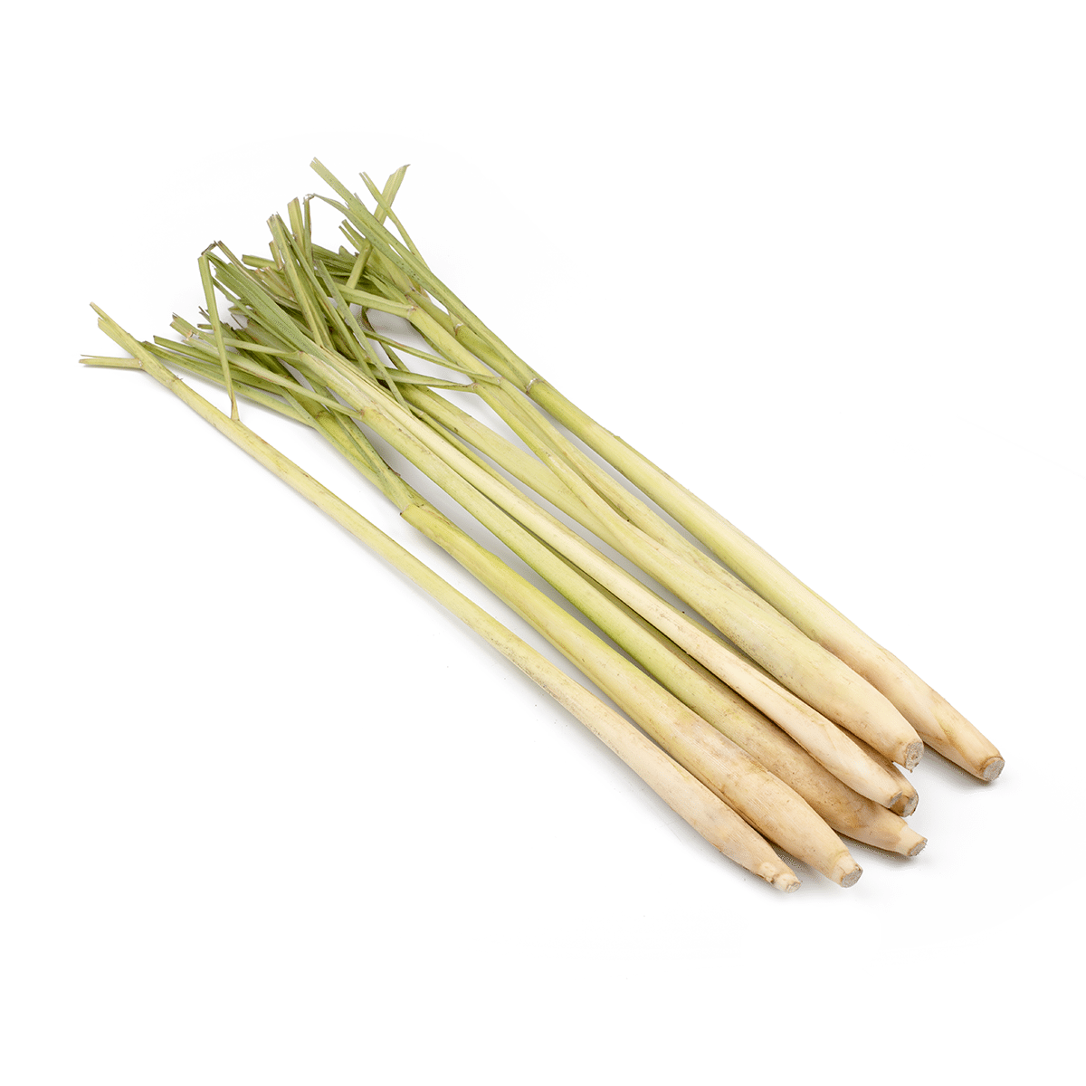 Lemon Grass 1 lb