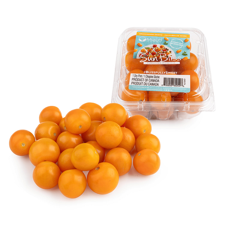 Orange Grape Tomato 1 dry pint
