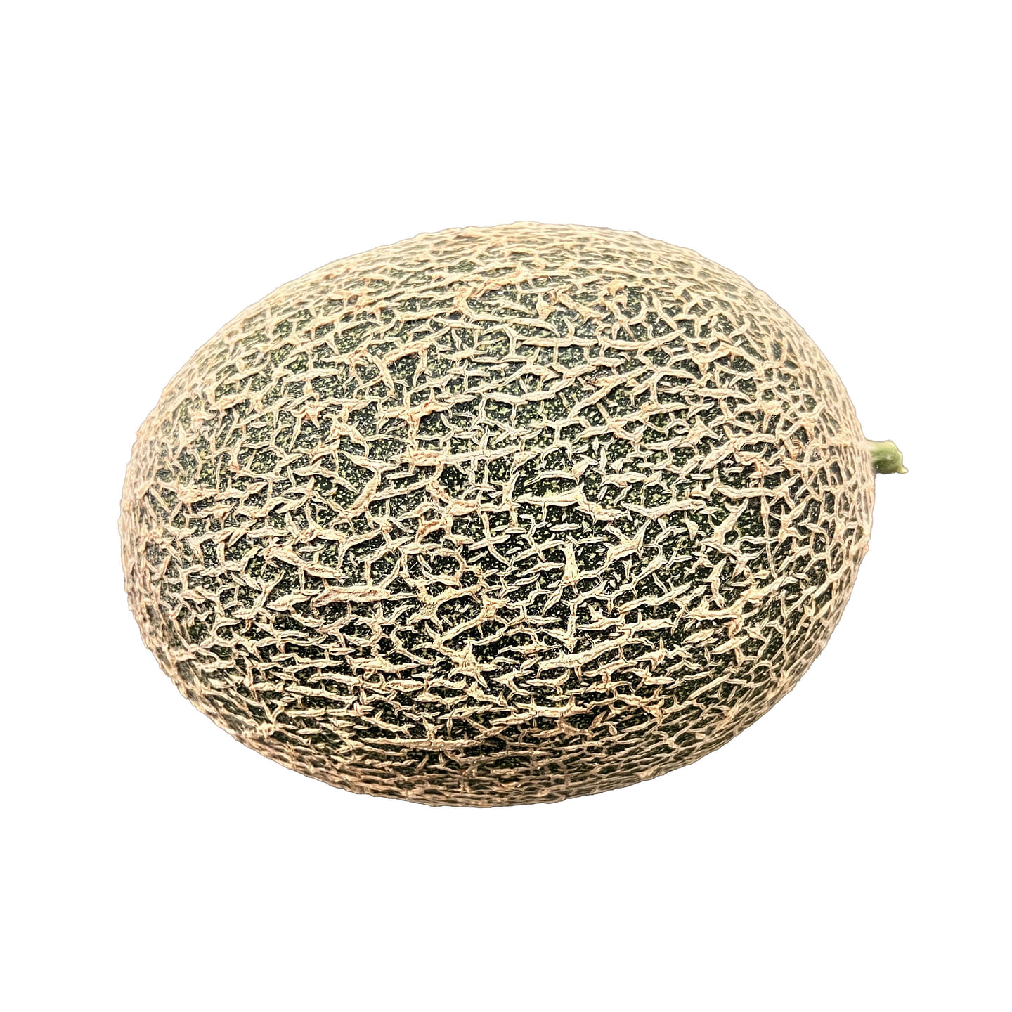 Muskmelon 1 count