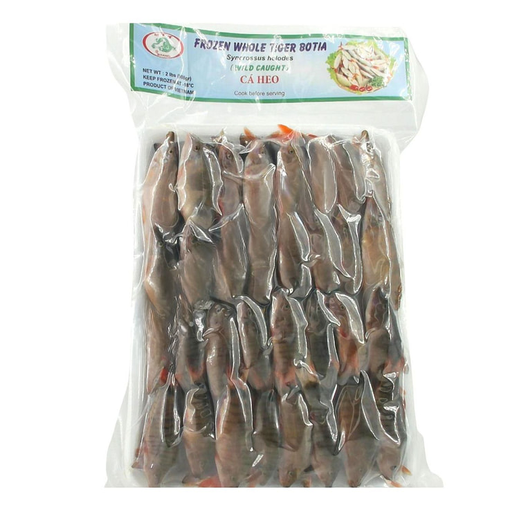 Whole Tiger Botia Wild Caught, Frozen 2 lb