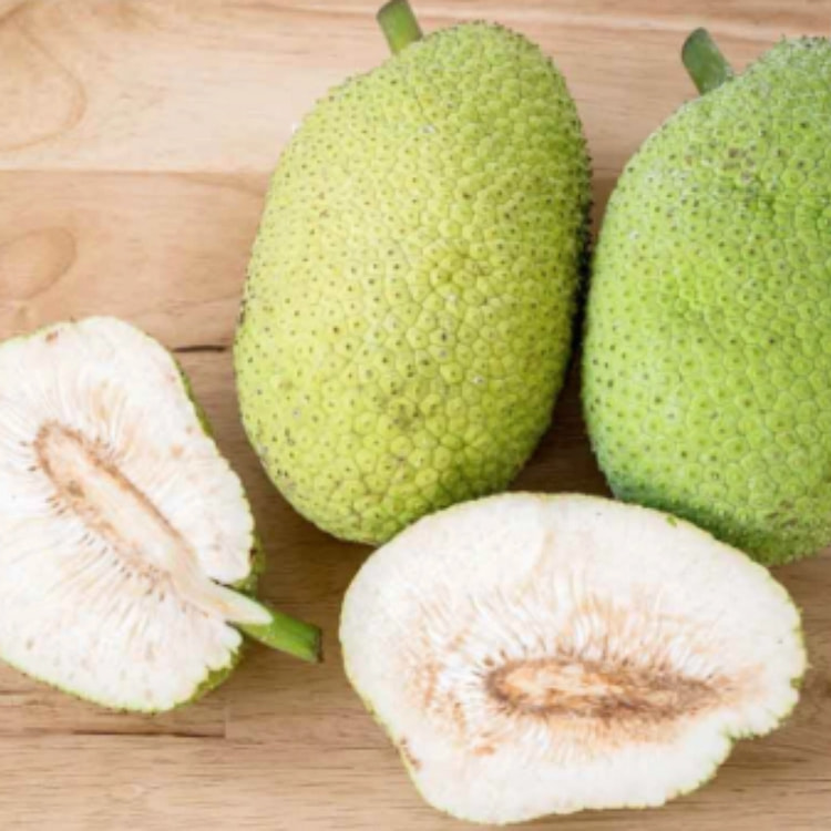 Breadfruit 1 each