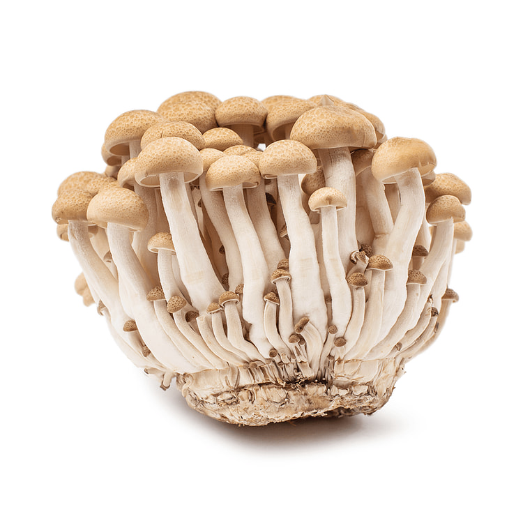 Organic Brown Shimeji Mushrooms 1 each
