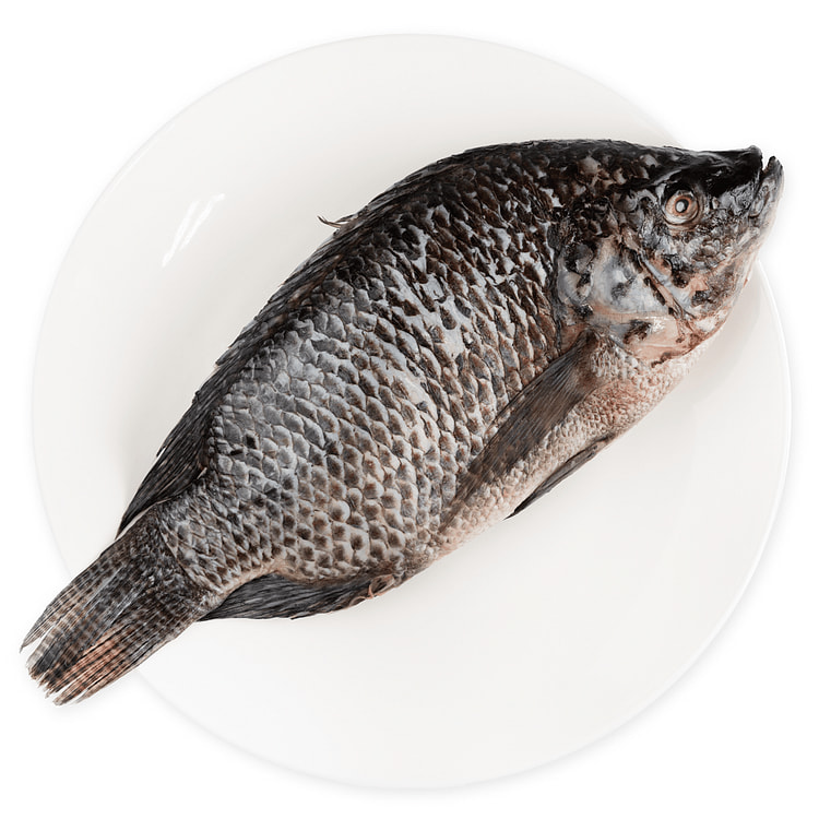 Tilapia entera limpia tamaño grande 800-1000 gramo(s)