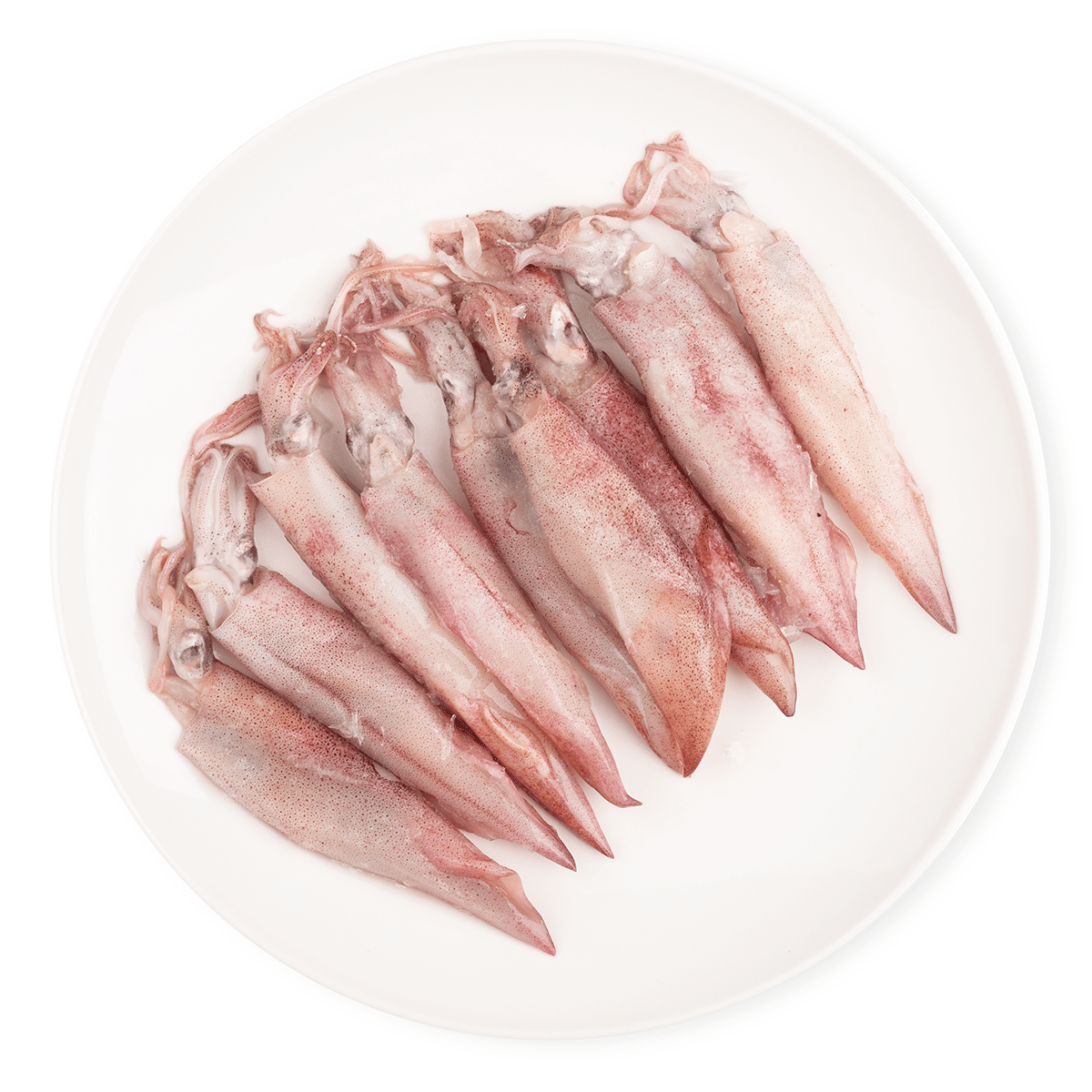 Frozen Wild Caught Squid 280-320 g