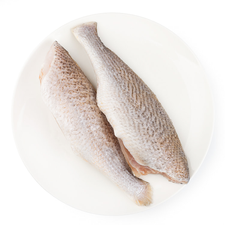 Pescada-Amarela do Brasil HGT 3-4pc 2 lb