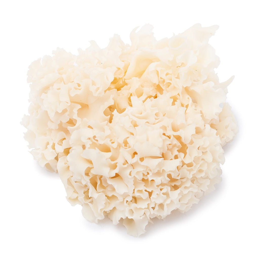Coral Mushroom 150 g