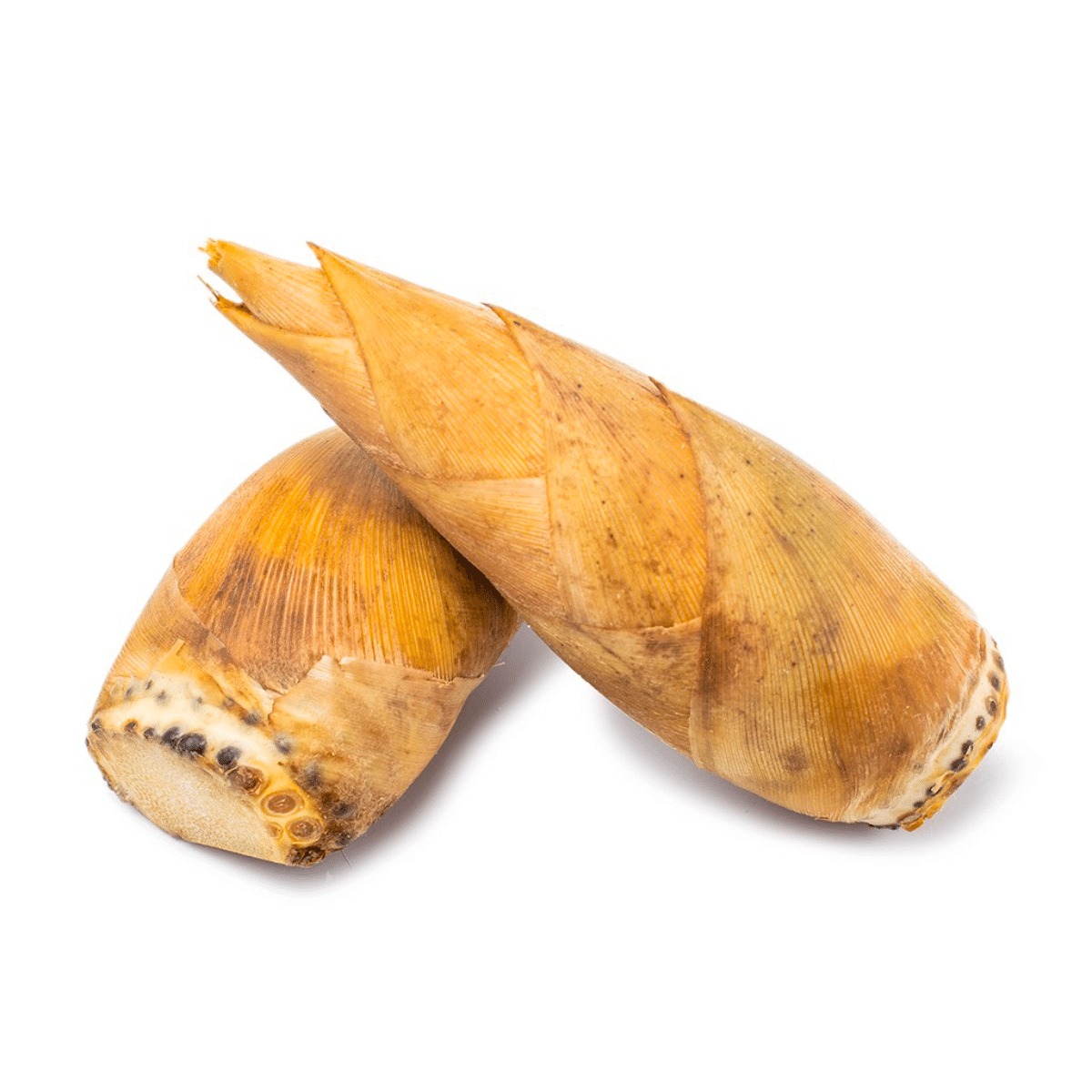 Winter Bamboo Shoots 1-1.3 lb