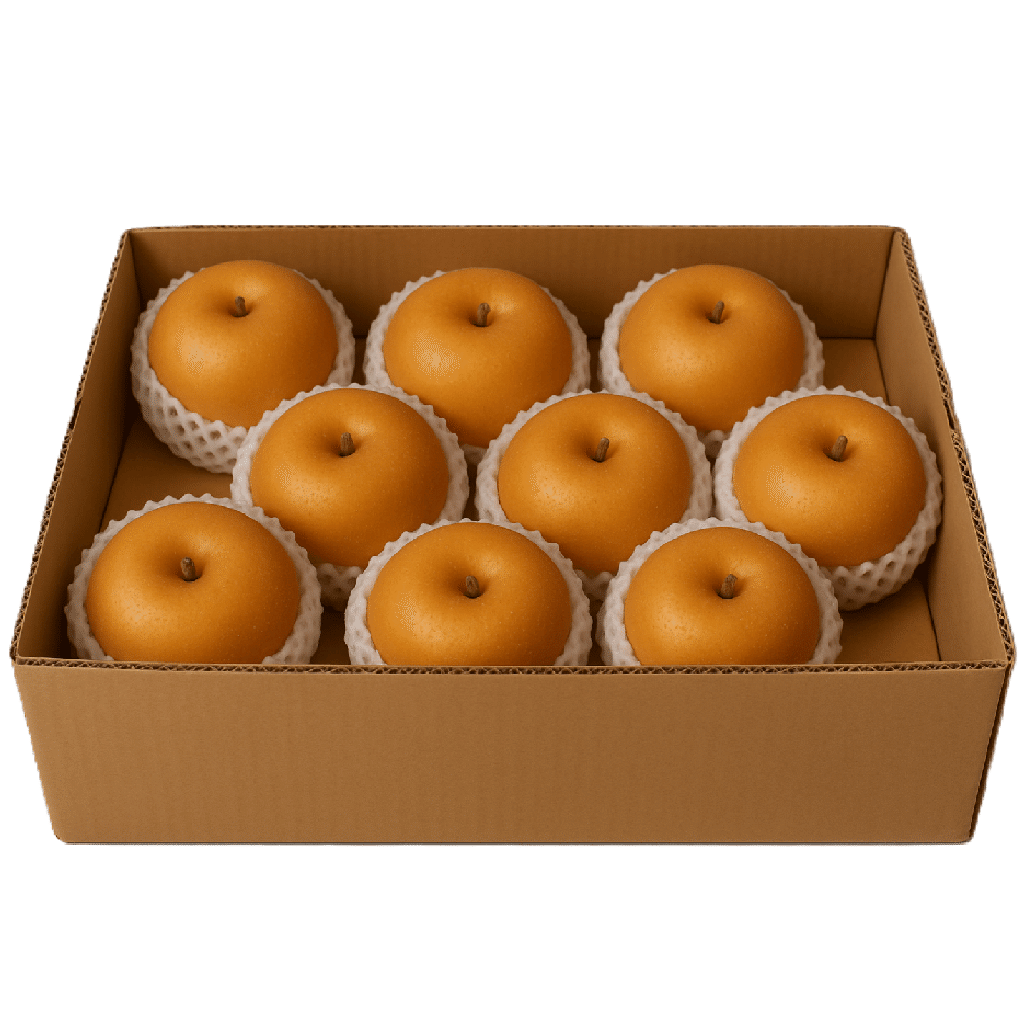 Chinese Singo Pear Box 7-9 CT 10 lb