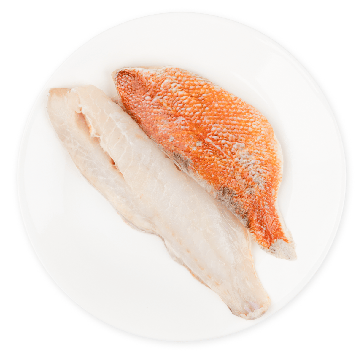 Pacific Ocean Perch Fillet Skin On 1 lb