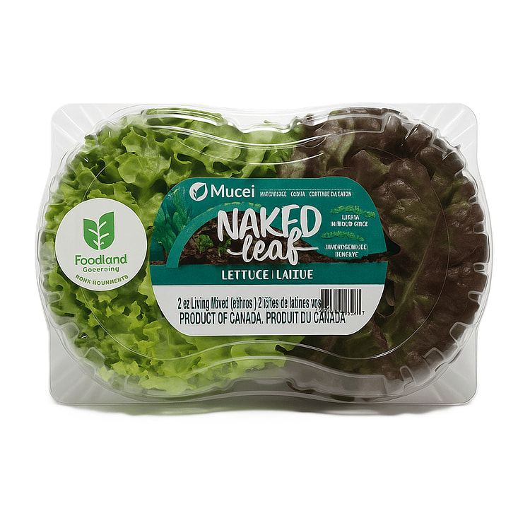 Mixed Lettuce 2 count