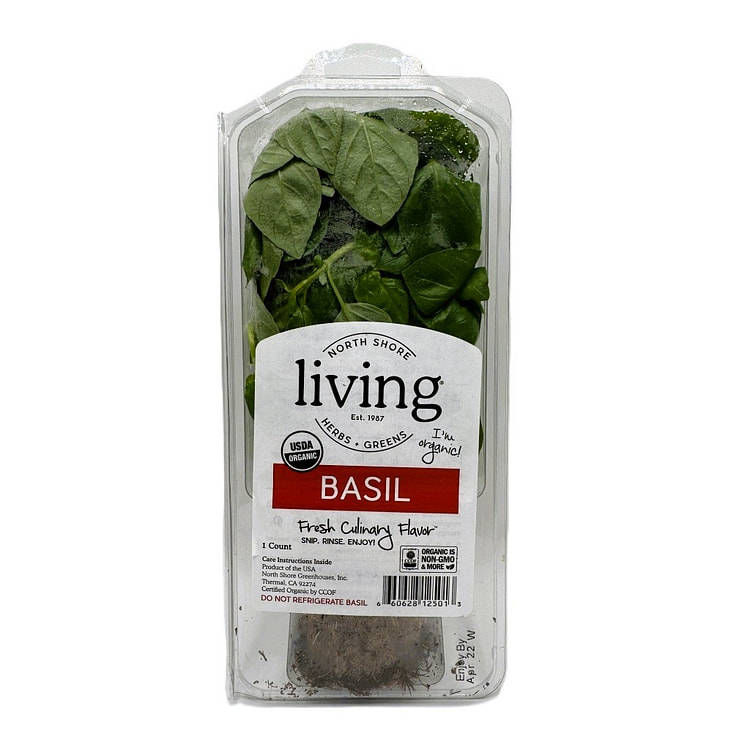 Organic Living Basil 1 each