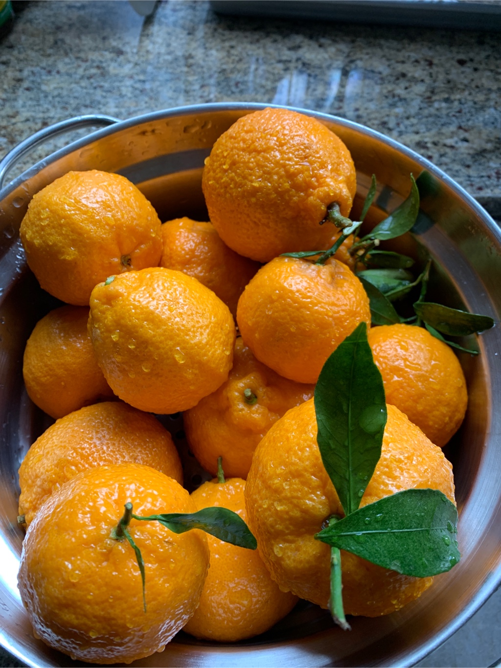超美品 Golden Nugget Orange ゴールデンナゲット オレンジ 超美品 Golden Nugget Orange ゴールデンナゲット オレンジ