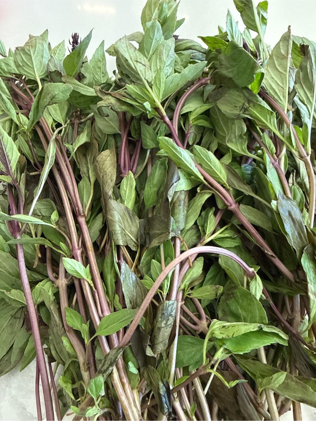 Rau Húng Quế - Weee!
