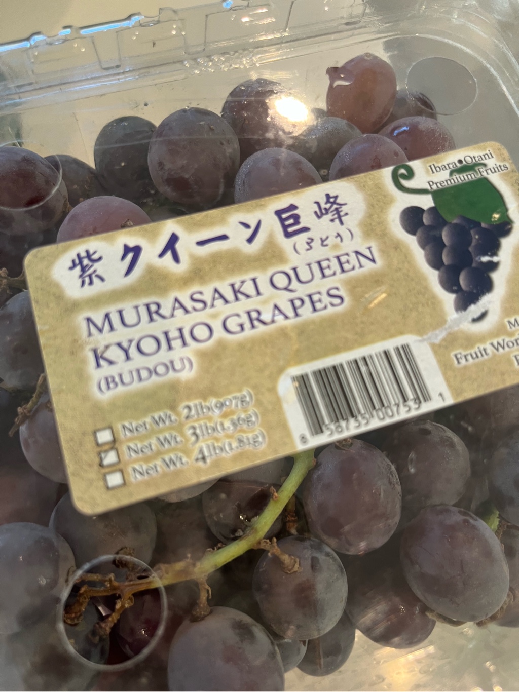日本女王紫巨峰葡萄一盒3 磅- Weee!