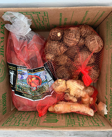 Buy Taro Root near me with free delivery