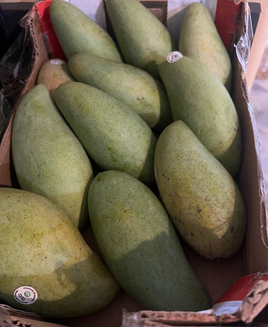 タイ産 マンゴー 芒果 Mango มะม่วง quả xoài