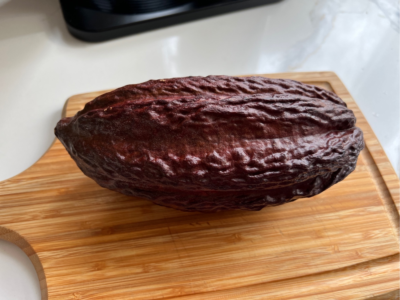 Cacao 新鲜可可果1个1 个- Weee!