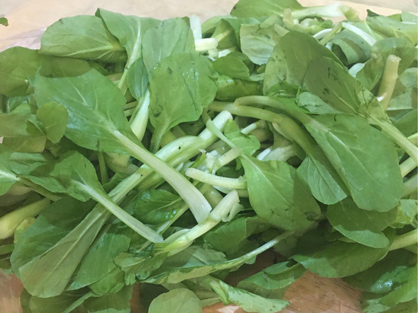 上海青青江苗雞毛菜1 磅- Weee!