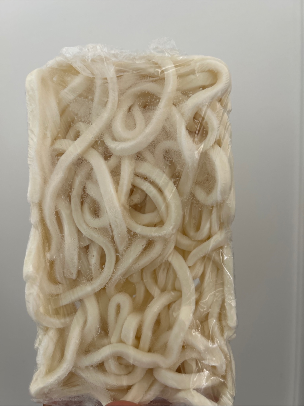 うどん 小倉駅8番ホーム名物 かしわうどん AA05-S10 | 福岡県北九州市