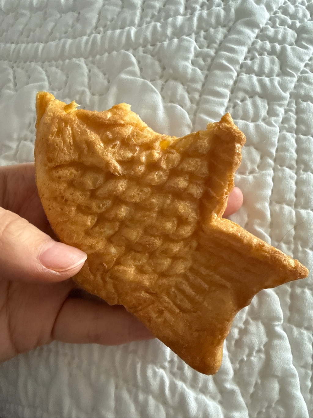 モチモチ たい焼き バニラ カスタード味 3 オンス - Weee!