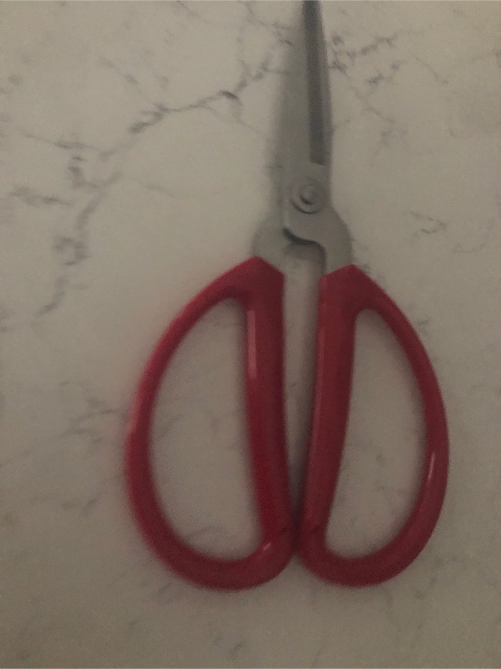 Krixx様 Silky Chef-X Pro Stainless Steel Take-Apart Kitchen Scissors