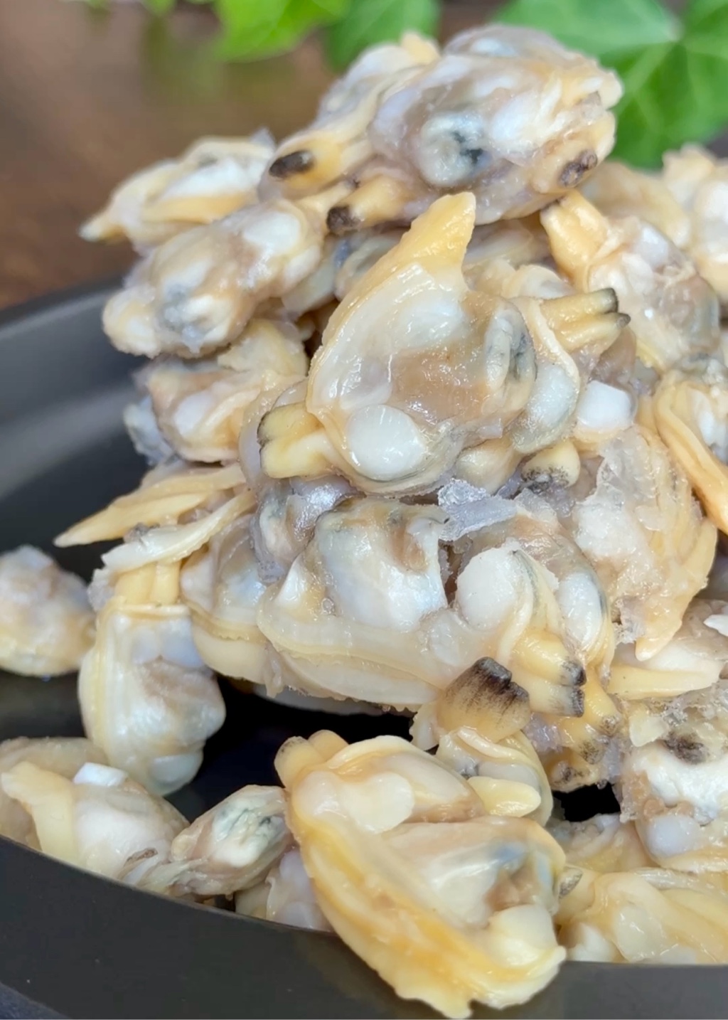 Buy Neck Clam near me with free delivery