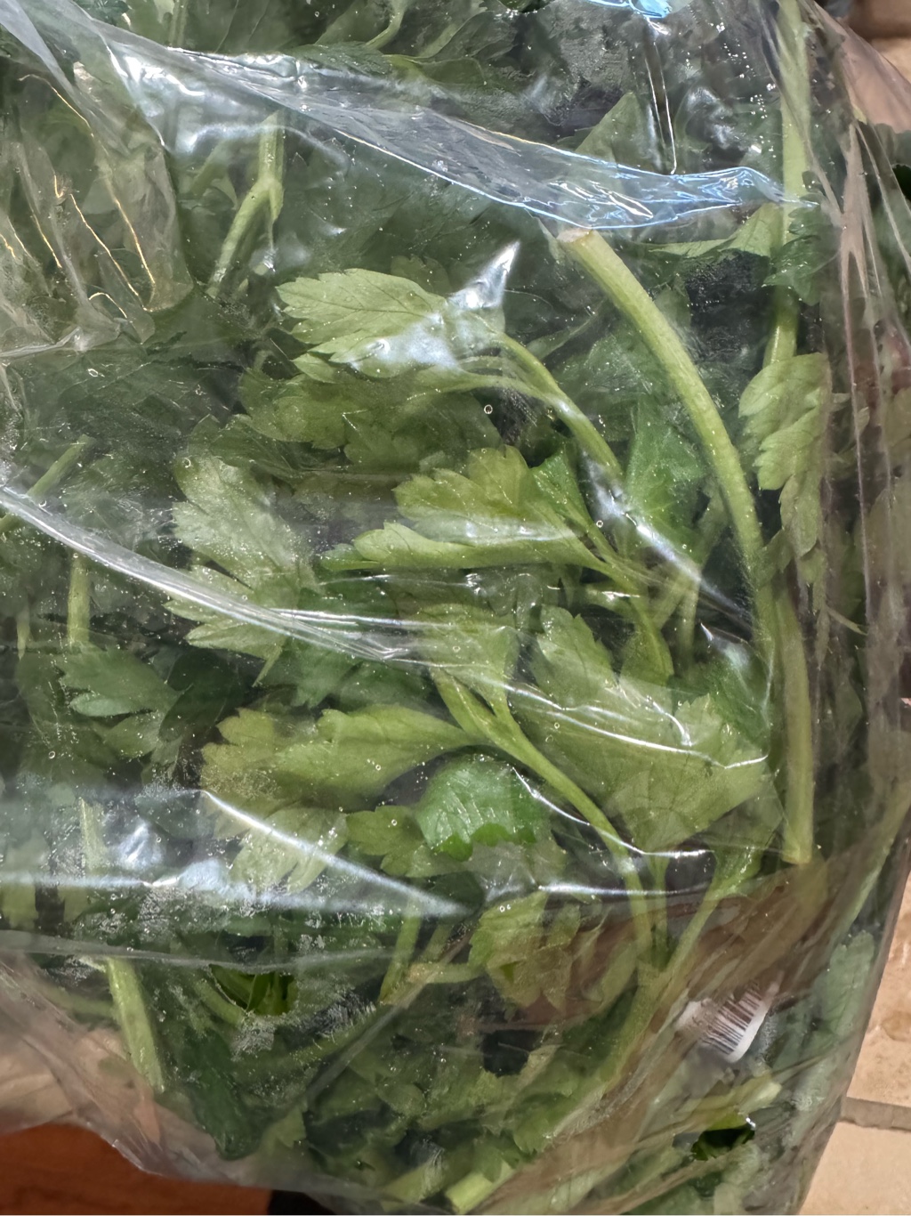 Italian Plain Parsley 1 다발 - Weee!, image size:1024x1366