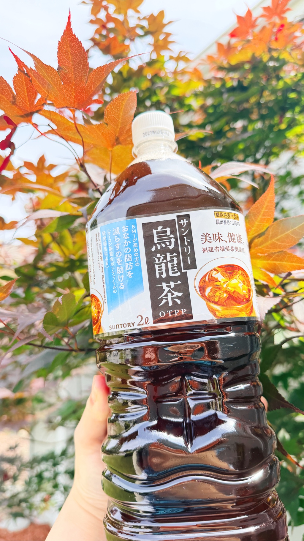 サントリー 烏龍茶 ウーロン茶 2L 67.63 fl.oz - Weee!