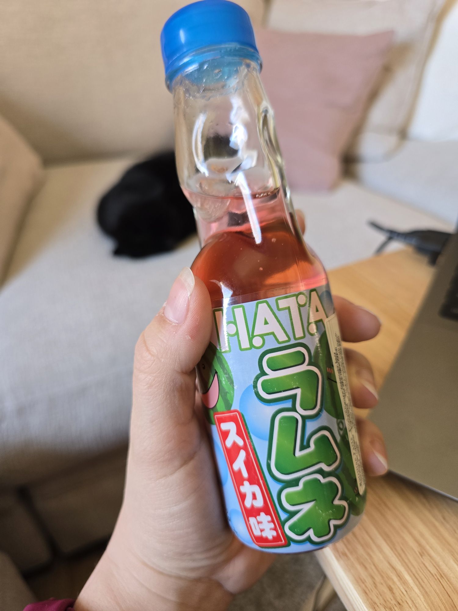 【デニム9.10】炭酸飲料 ラムネ.　スイカ味、メロン味、 イチゴ味 デニム様専用9.10】炭酸飲料 ラムネ. スイカ味、メロン味