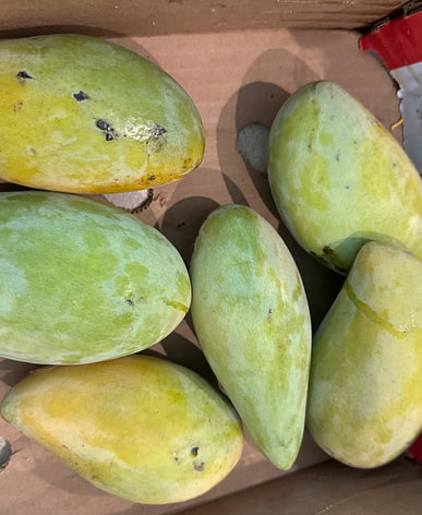 タイ産甘い青マンゴー – Sesofoods