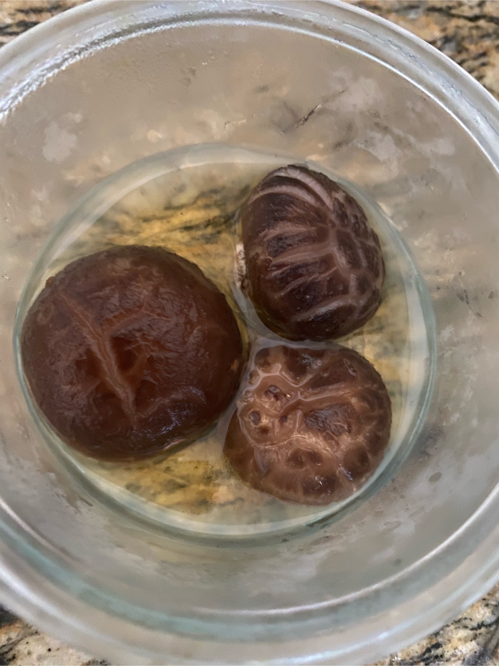 日本大分茶花菇 Weee