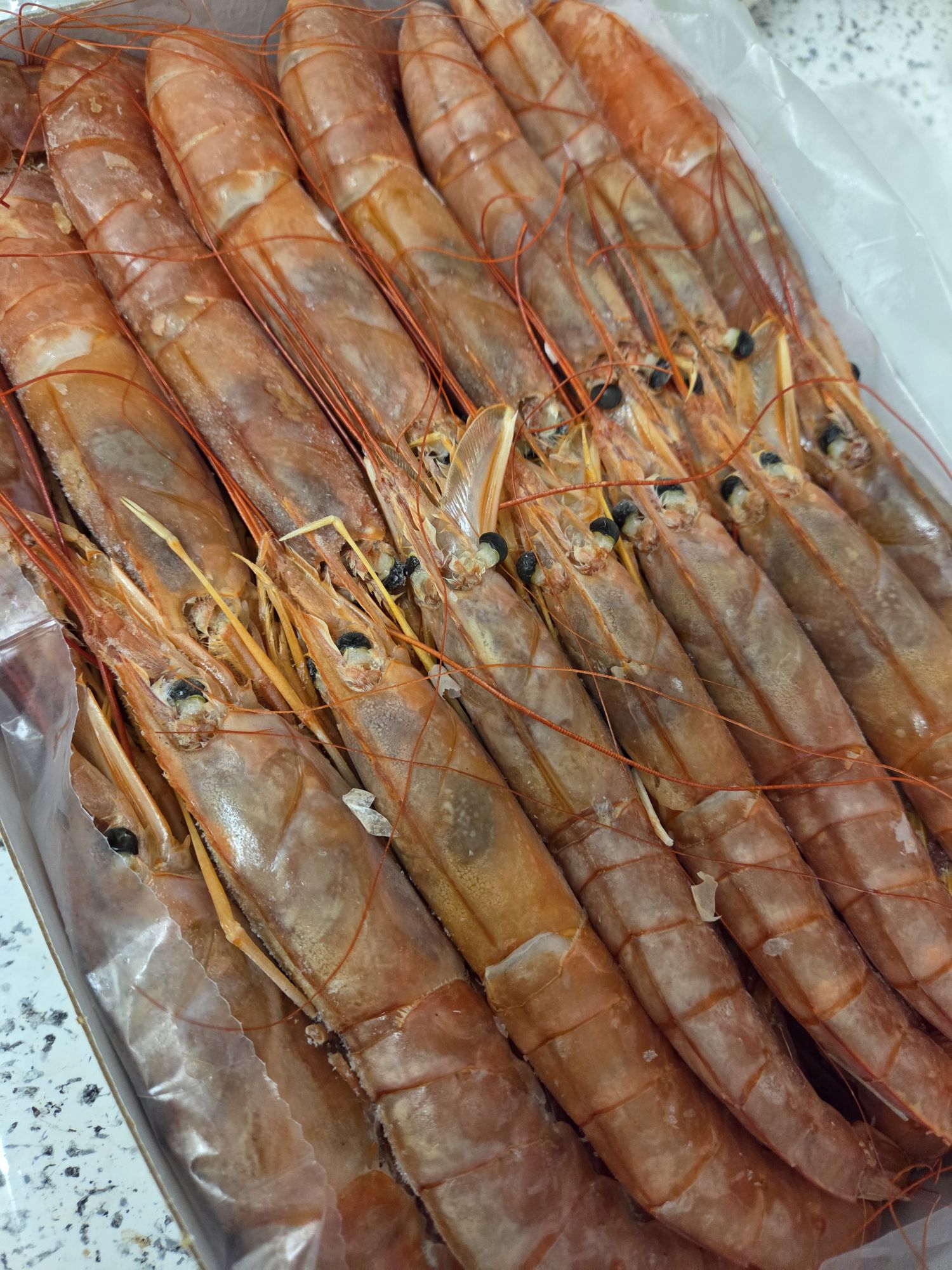 エビ 鹿児島 枕崎産 増富丸の天然 タカエビ （甘エビ）たかえび -枕崎