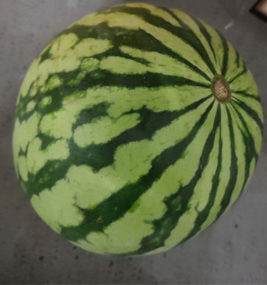 ミニ黄スイカ 1 カウント - Weee!