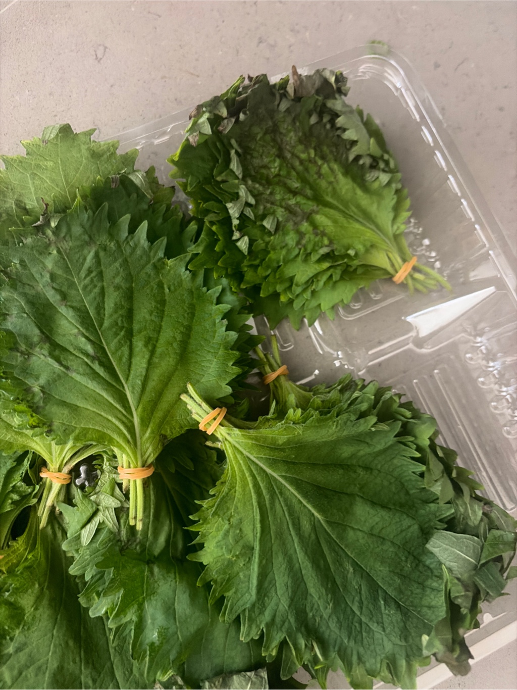 大葉（青じそ）10束入り 10 まとめて - Weee!
