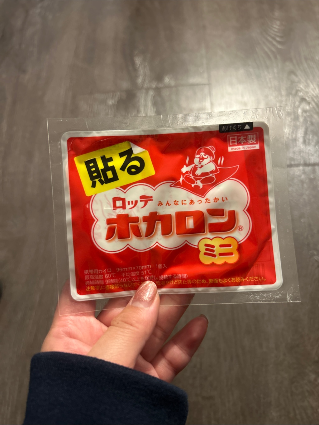 ホカロンミニ ロッテ ホカロン ミニ 使い捨てカイロ 10個入り 1 カウント - Weee!