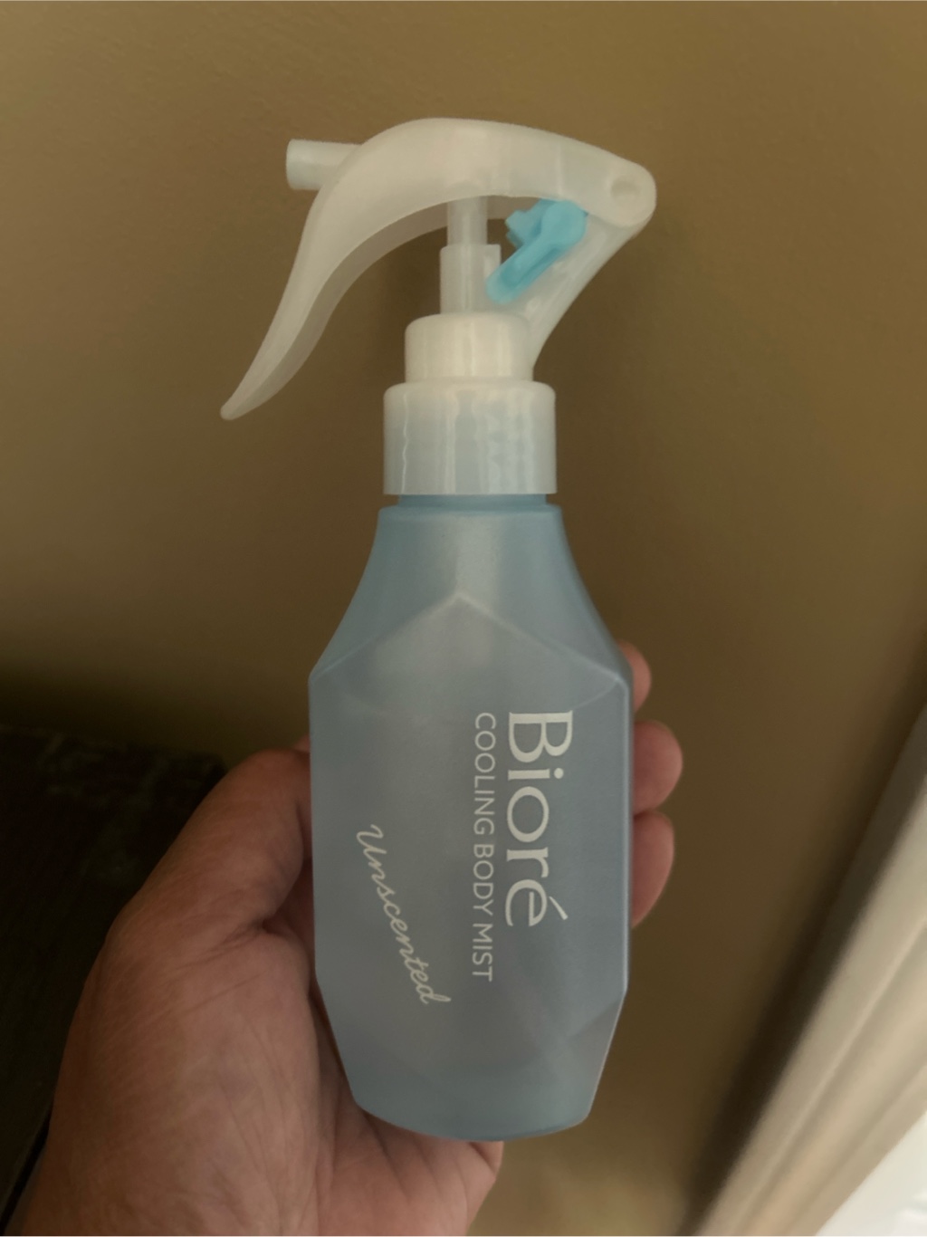 KAO Biore Quick Dry Cool Handy Mist - Unscented - Weee!