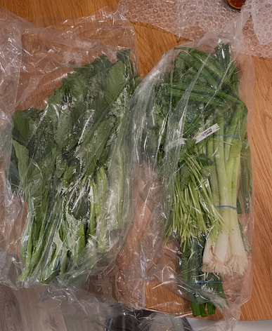 近くのぱくちーを購入すると送料無料