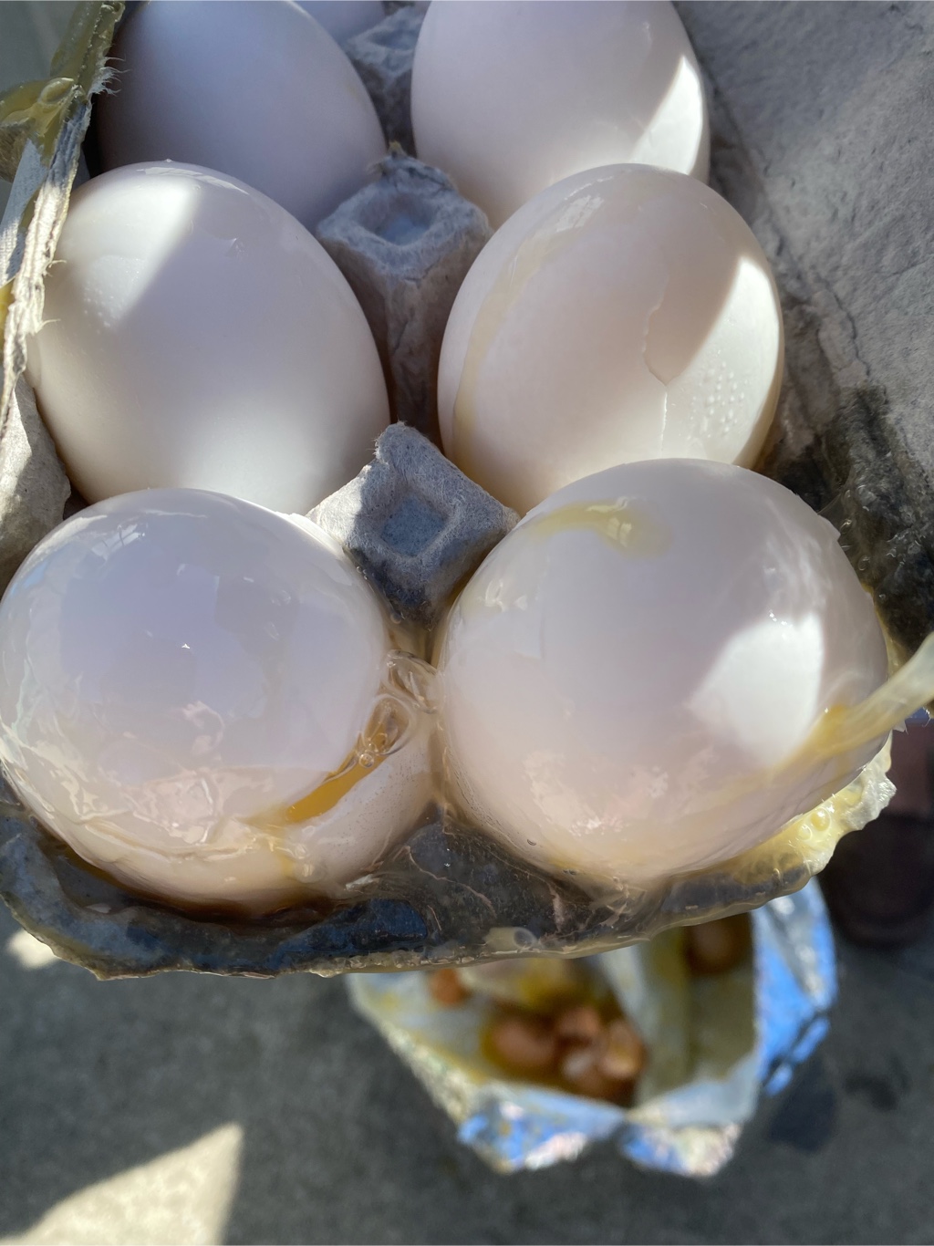 アヒルの卵 鴨卵1箱 - Weee!