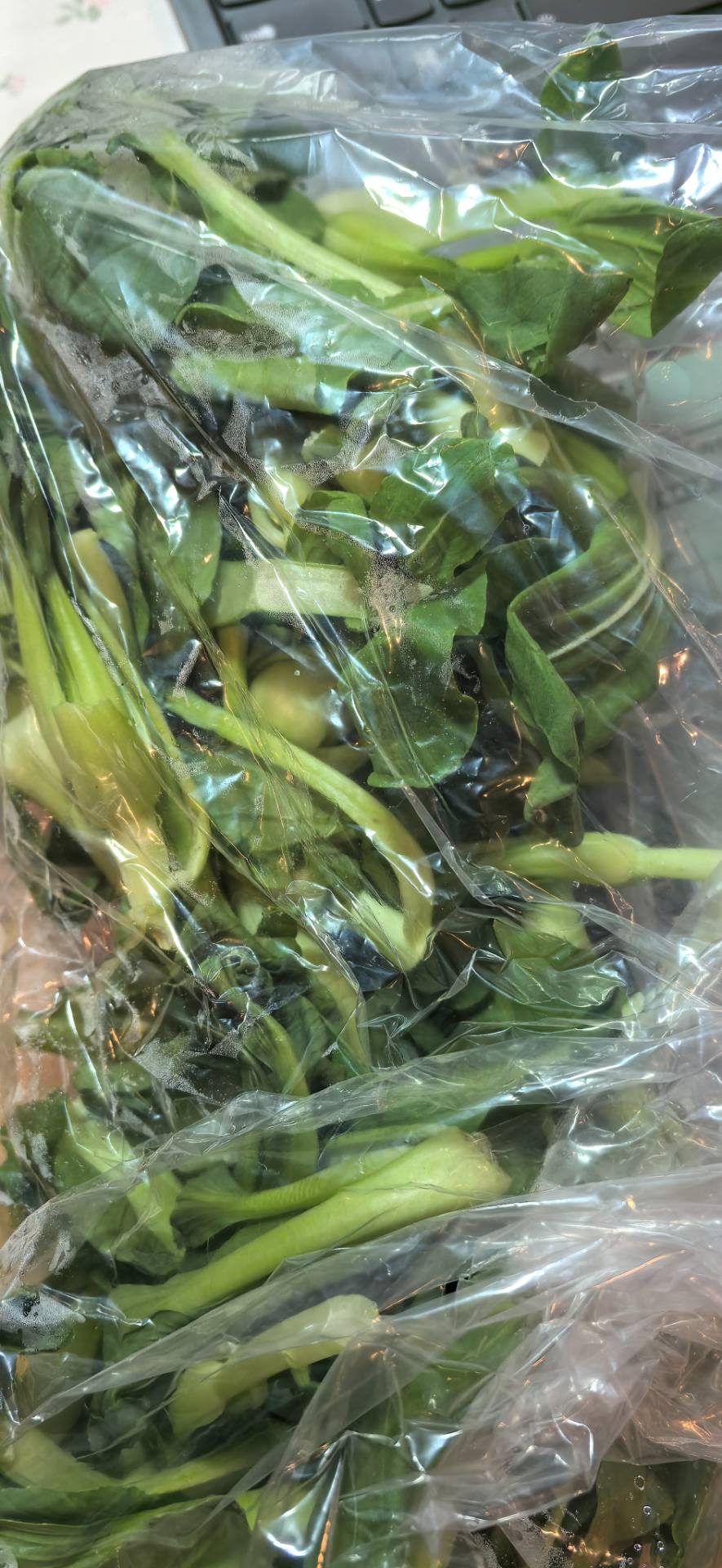 上海青青江苗雞毛菜1 磅- Weee!