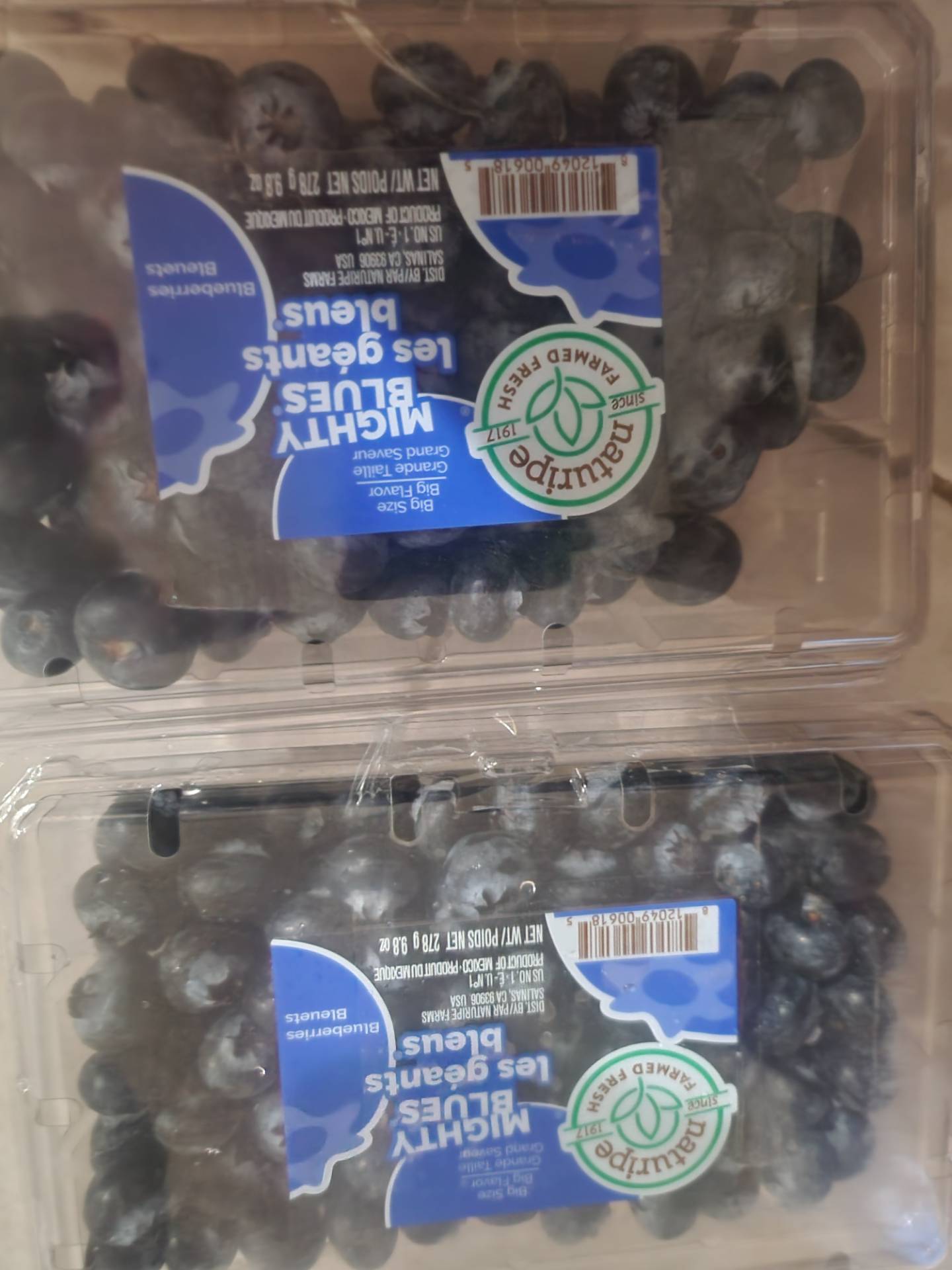 国内外の人気 9.8 Blueberries Jumbo Get oz Market Asian Weee! | Delivered サプライ・アクセサリ・グッズ